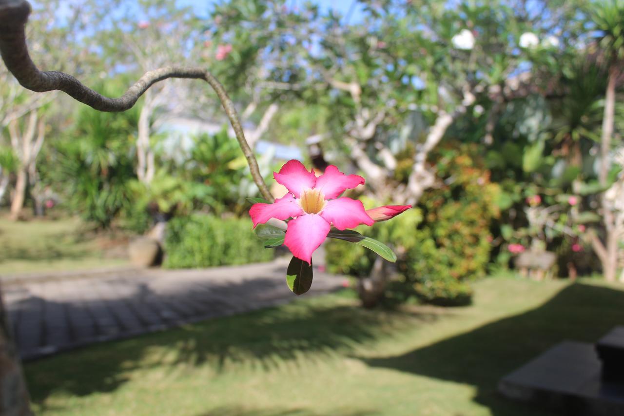 El Homestay Bali Nusa Dua  Zewnętrze zdjęcie