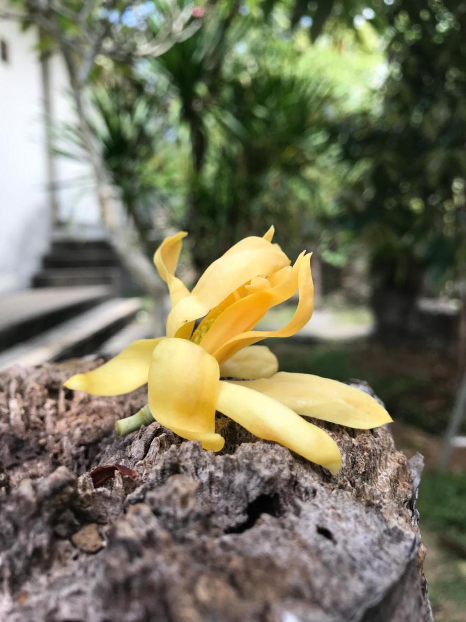 El Homestay Bali Nusa Dua  Zewnętrze zdjęcie