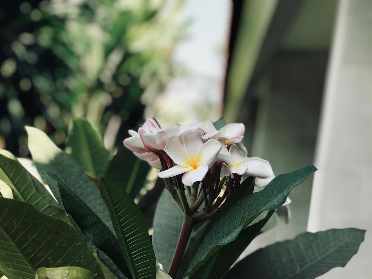 El Homestay Bali Nusa Dua  Zewnętrze zdjęcie